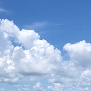 Meet your Posher, Lea